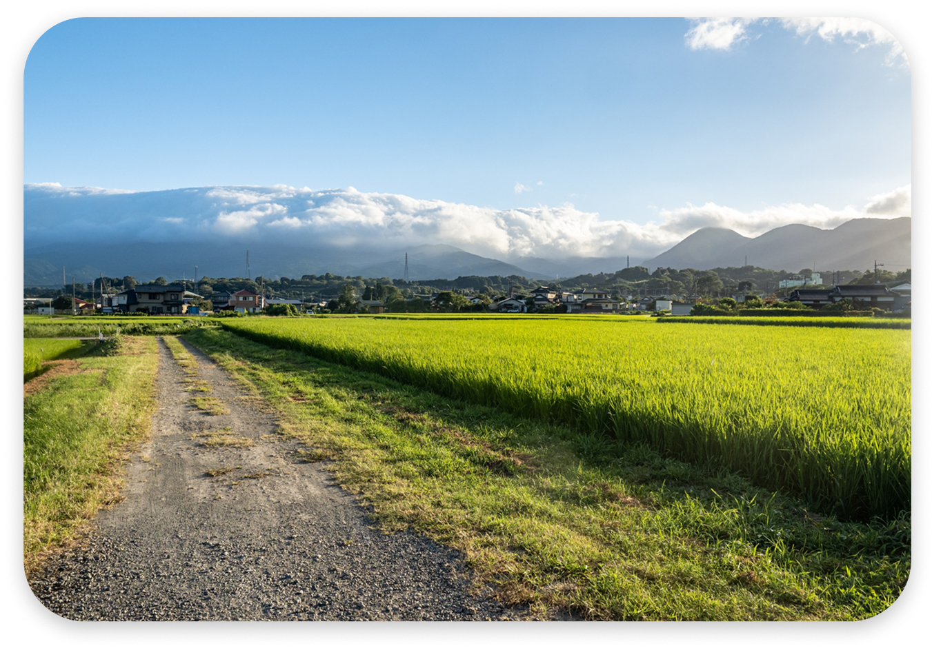 Farmland