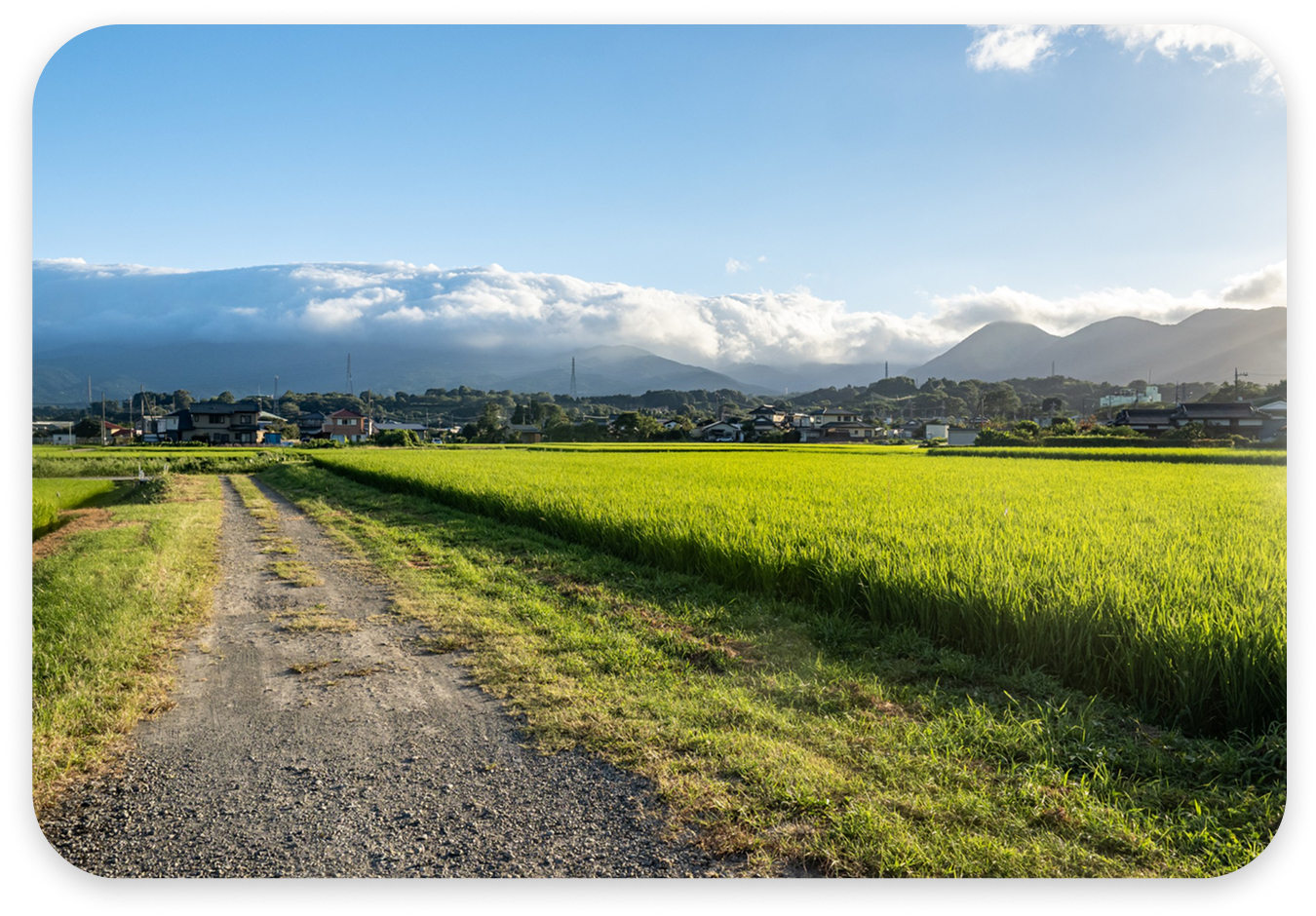 Industrial Land